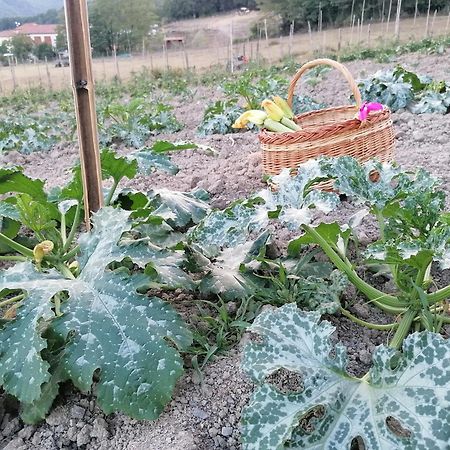 San Pietro Vara Agriturismo Dei Legi מראה חיצוני תמונה