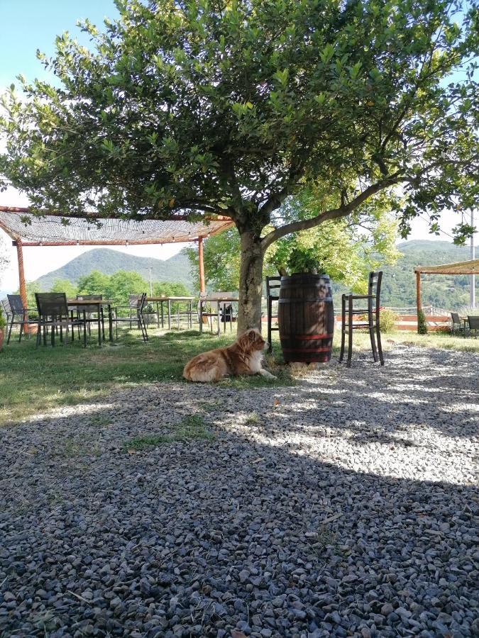 San Pietro Vara Agriturismo Dei Legi מראה חיצוני תמונה