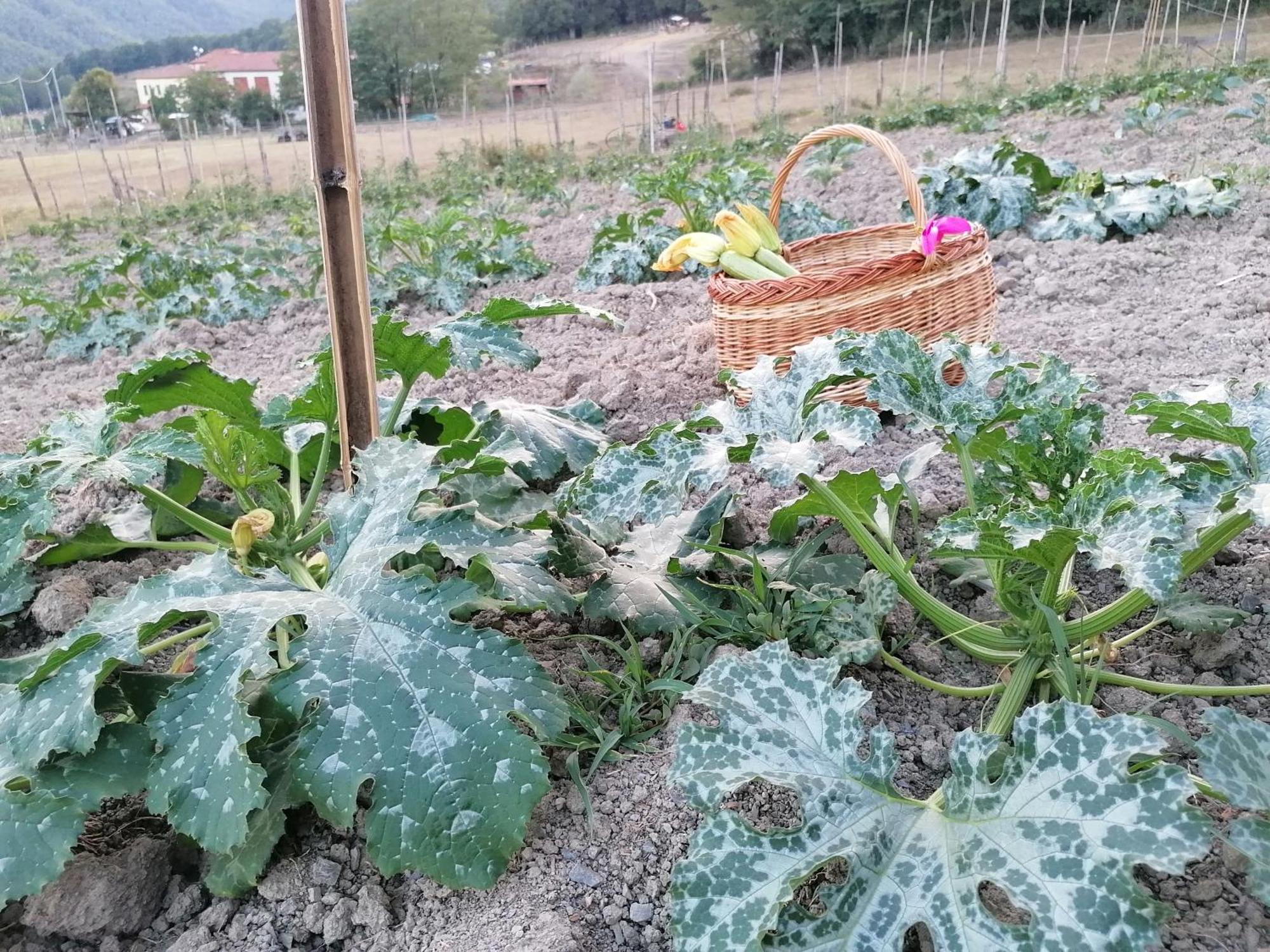 San Pietro Vara Agriturismo Dei Legi מראה חיצוני תמונה