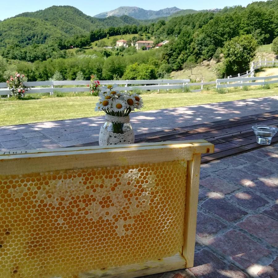 San Pietro Vara Agriturismo Dei Legi מראה חיצוני תמונה